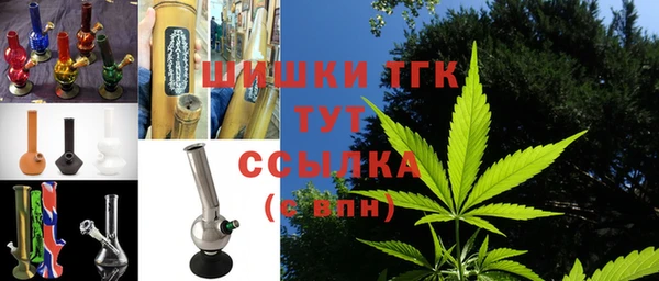 эйфоретик Гусь-Хрустальный