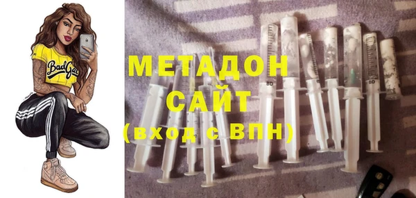 сатива Туринск