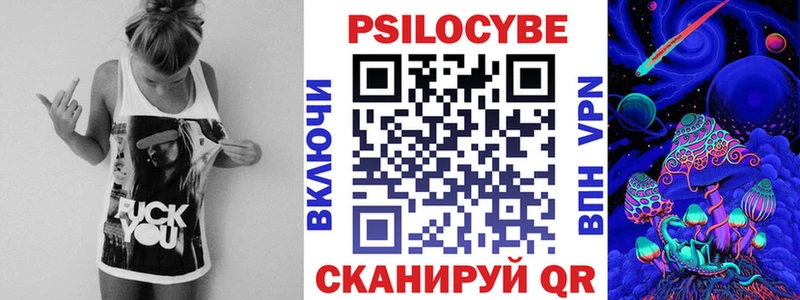 Галлюциногенные грибы Psilocybine cubensis как найти наркотики Дагестанские Огни