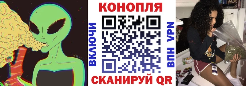 Бошки марихуана марихуана  Дагестанские Огни 